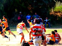 /album/candidato-en-terreno-/p1030353-jpg/